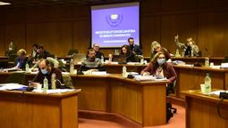 altText(Declaración de bancada de diputadas/os FA ante aprobación de LUC)}