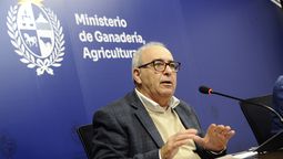 altText(Fratti reaccionó ante críticas de Pedro Bordaberry)}
