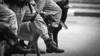 Terminar con la impunidad