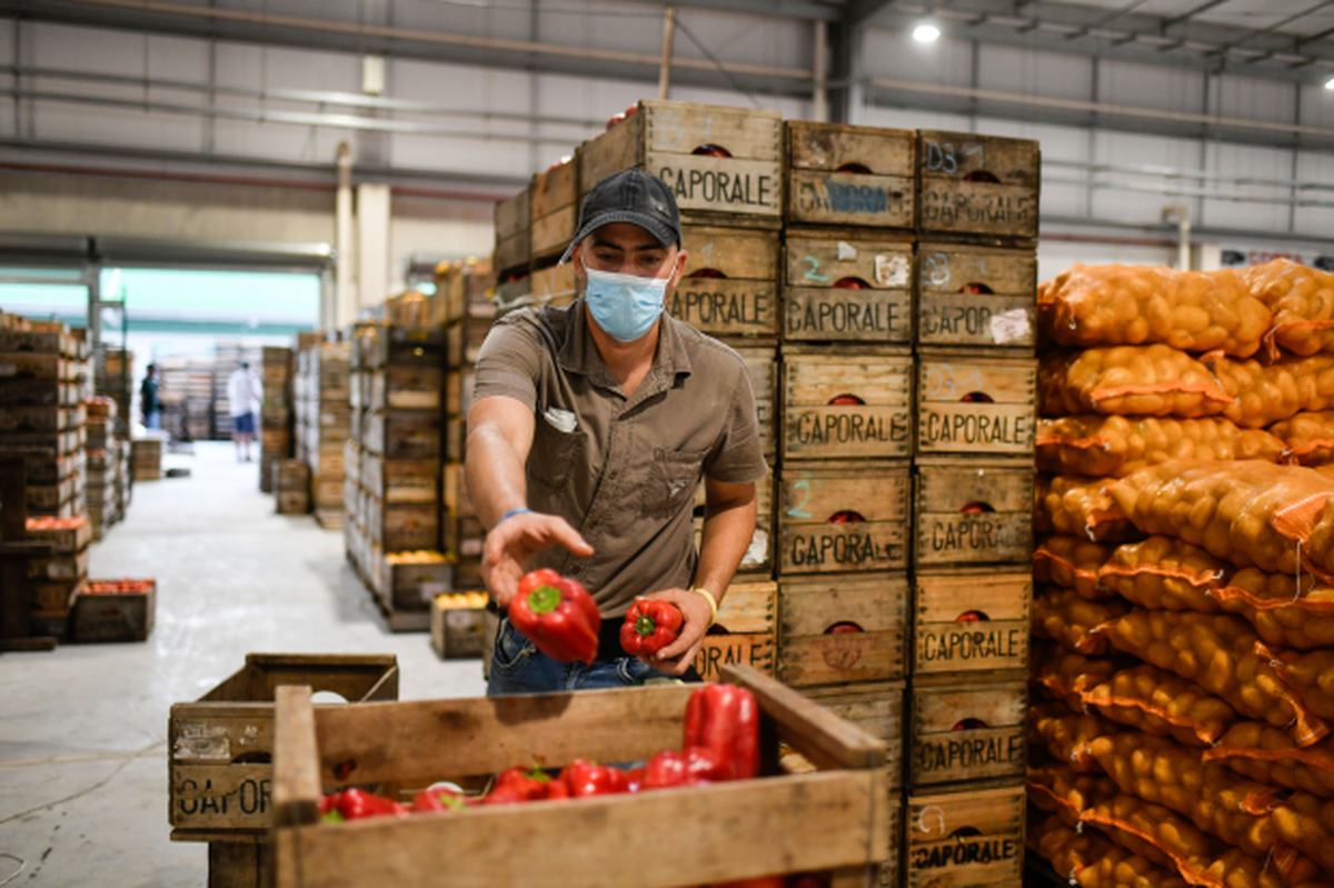 Operativa de la UAM impacta en una baja de precios de frutas y verduras