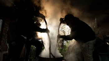Estudio advierte un creciente uso ritual de la ayahuasca en Uruguay