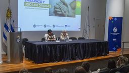 altText(Ciclo sobre embarazo y drogas: la necesidad de 