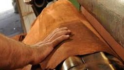 altText(Uruguay exportó 5,4 millones de dólares en pieles y cuero a Brasil)}