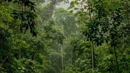 altText(Relator sobre medio ambiente ONU envía carta al gobierno por cambios en definiciones de áreas protegidas)}
