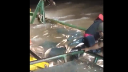 altText(Trabajadores del mar impidieron una tragedia al lograr que no se hunda barco pesquero)}