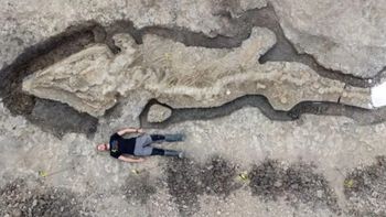 Los restos de Perucetus dan cuenta de su tamaño.