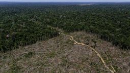 altText(Brasil: Crece un 66% la deforestación en la Amazonia y bloquean millonario fondo)}