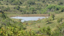 altText(¿Hubo una sequía como la actual anteriormente?)}