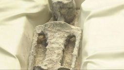 altText( México: presentaron los restos de 