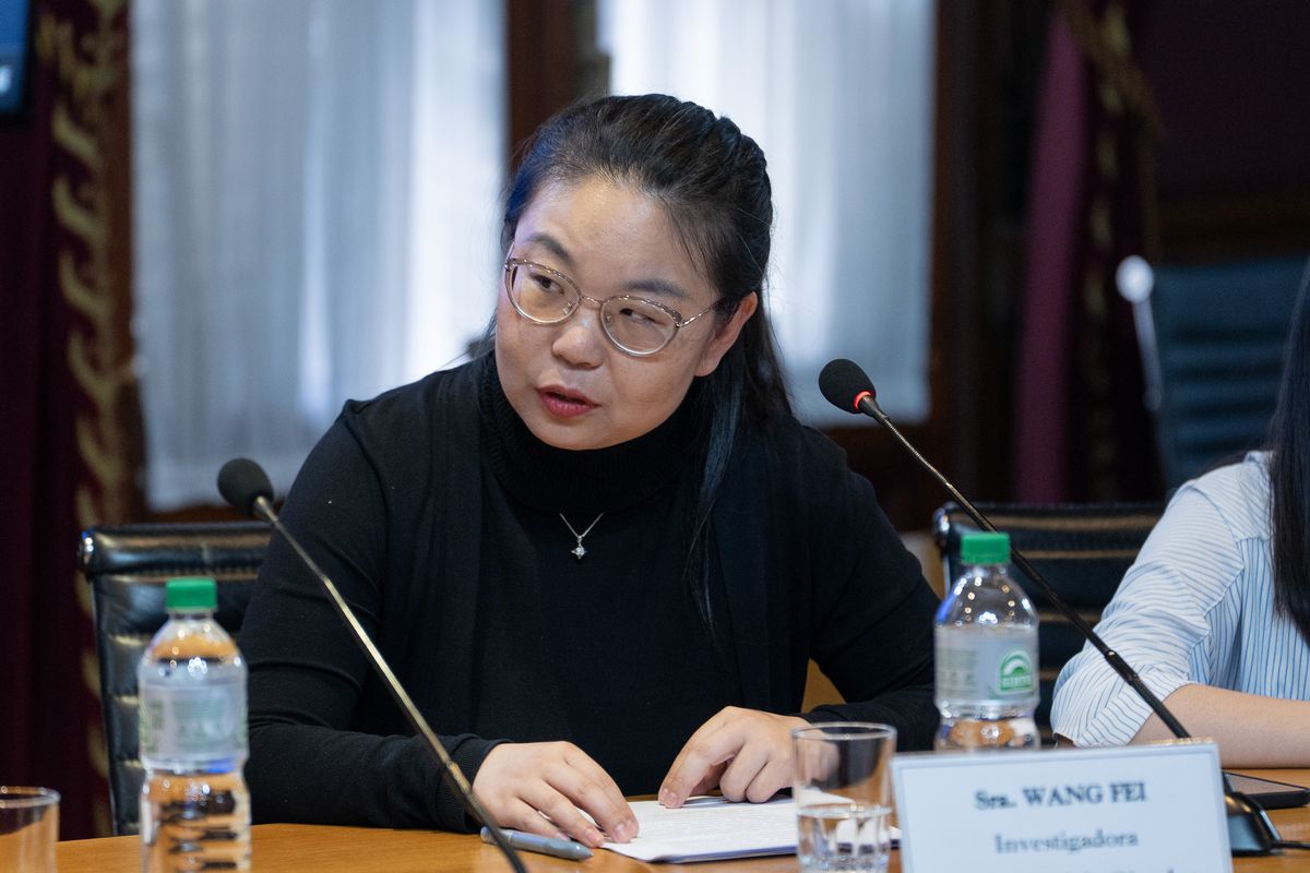 Investigadora y docente, Wang Fei.