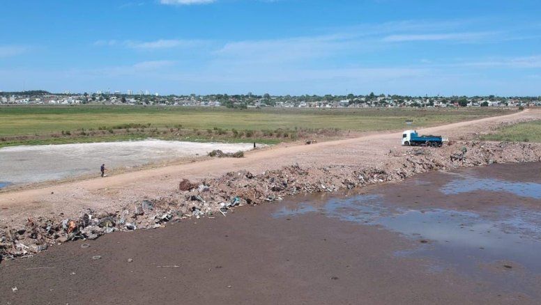Humedal del Arroyo Maldonado: Un ecosistema amenazado por el relleno de residuos