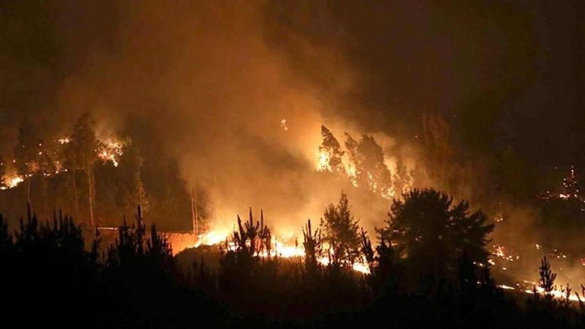 Confirman intencionalidad en incendios en Tres Bocas y Ruta 24 en Paysandú