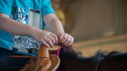 altText(Equinoterapia: quiénes pueden ser beneficiarios y las ventajas para los usuarios)}