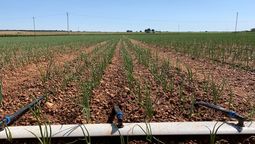 altText(Riego como pilar en el modelo de desarrollo)}