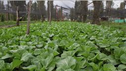 altText(Millones padecen hambre en una región donde sobran alimentos)}