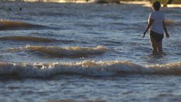 altText(Udelar abrió inscripciones para la nueva Licenciatura en Oceanografía)}