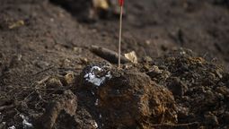 altText(¿Cómo sigue la investigación de los hallazgos en Batallón 14?)}