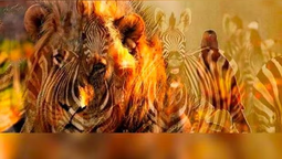 altText(Test de personalidad: ¿qué animal ves primero?)}