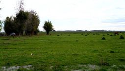 altText(MGAP habilita crédito para productores por sequía)}