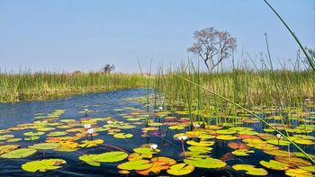 Maldonado avanza en la creación de un plan de manejo para el humedal del arroyo Maldonado