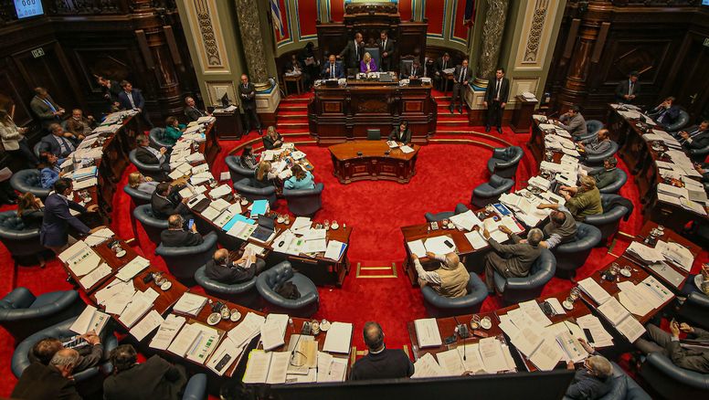 El Senado aceptó la renuncia de Charles Carrera