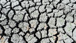 altText(Mucho más que sequía)}