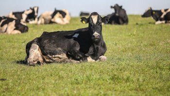 FA defendió compra de tierras porque va en línea con su plan de gobierno