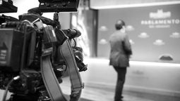 altText(Correa Freitas y Agustín Mayer marcaron inconstitucionalidades)}