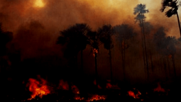 altText(Bolsonaro aún evalúa enviar al Ejército para ayudar a extinguir los incendios en la Amazonia)}