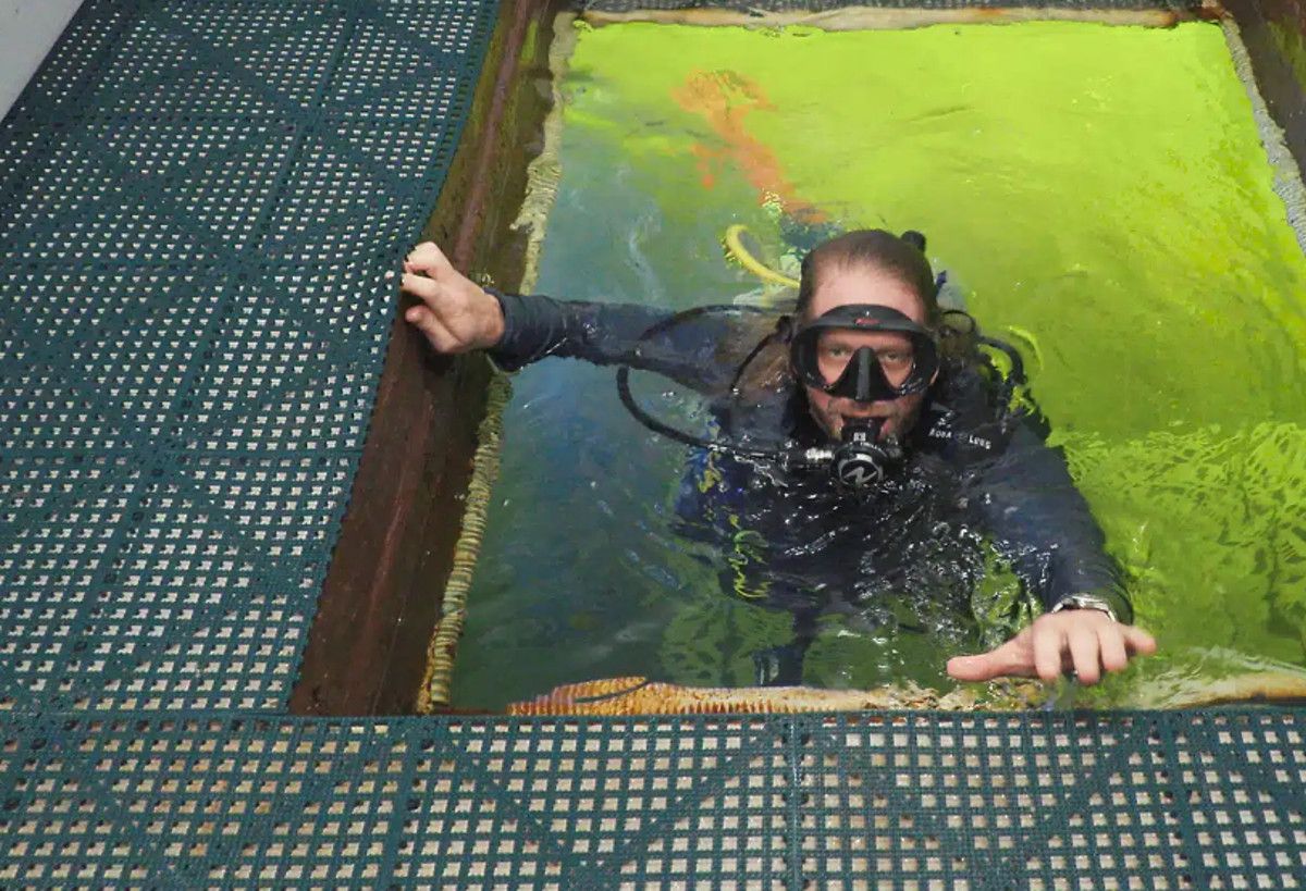Joseph Dituri, profesor asociado de la Universidad del Sur de Florida (USF), se sumergi&oacute; en una c&aacute;psula a 9,4 metros de profundidad para pasar 100 d&iacute;as bajo el agua.
