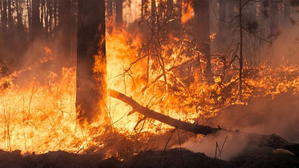 Lacalle Pou responsabilizó al Frente Amplio por los incendios forestales