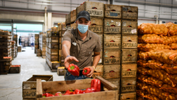 altText(Operativa de la UAM impacta en una baja de precios de frutas y verduras)}