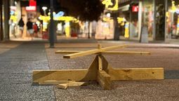 altText(Odio a las fiestas: joven detenido por destruir 14 árboles de Navidad y cintas con deseos para 2026)}