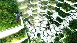 altText(¿Qué es la agricultura vertical y por qué se torna urgente? )}