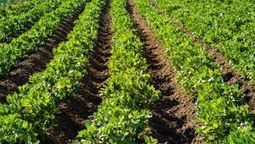 altText(Presentan Plan Nacional de Agroecología en el Parlamento)}