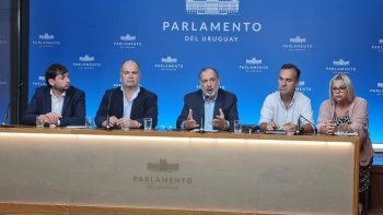 Gandini no quiere que le impongan a Lema como candidato a la IM