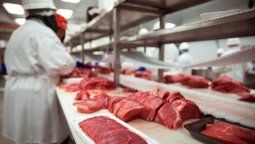 altText(Salto: más de 300 trabajadores del frigorífico Somicar al seguro de paro)}