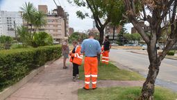 altText(¿Tu casa necesita arreglos? IM otorga préstamos con apoyo técnico para refacciones)}