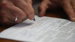 altText(Plebiscito: un 61% firmará o probablemente firme, según Factum)}