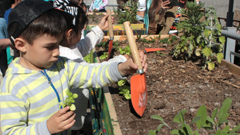 Verónica Piñero destacó estrategia de Montevideo Más Verde