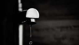 altText(María Selva Ortiz: 