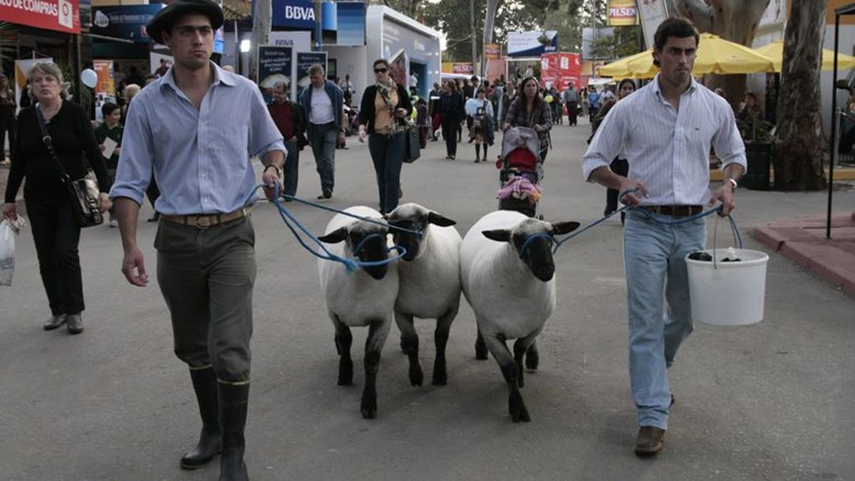 Se conocieron detalles sobre los requisitos para la realización de la Expo Prado