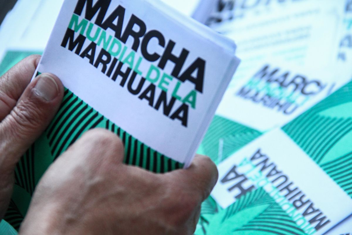 Marihuana en Uruguay: movilización por la no criminalización. 