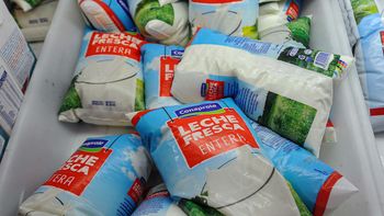 Conaprole anuncia el cierre definitivo de la planta de Rivera