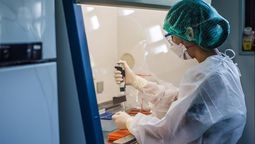 altText(MSP analiza cinco posibles nuevos casos de Viruela del mono)}