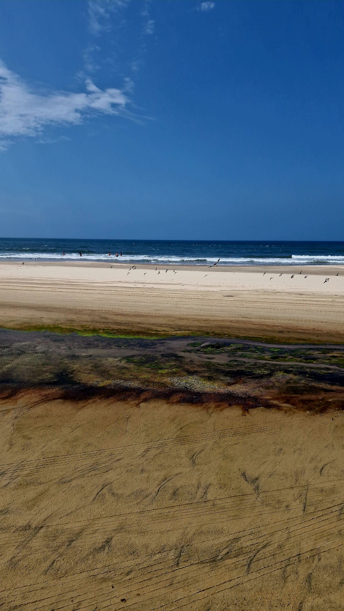 Playa Sur de Cabo Polonio