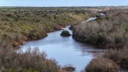 altText(Niveles de cloruros y sodio volvieron a aumentar)}