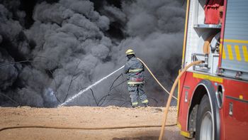 En dos días Bomberos combatió 85 incendios forestales que afectaron más de 700 hectáreas
