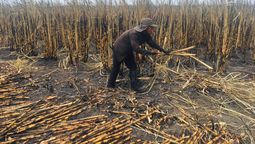 altText(Ofensiva por la vida y la seguridad en el trabajo)}