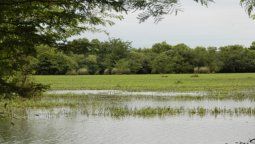 altText(Una nueva área protegida ingresó al SNAP)}